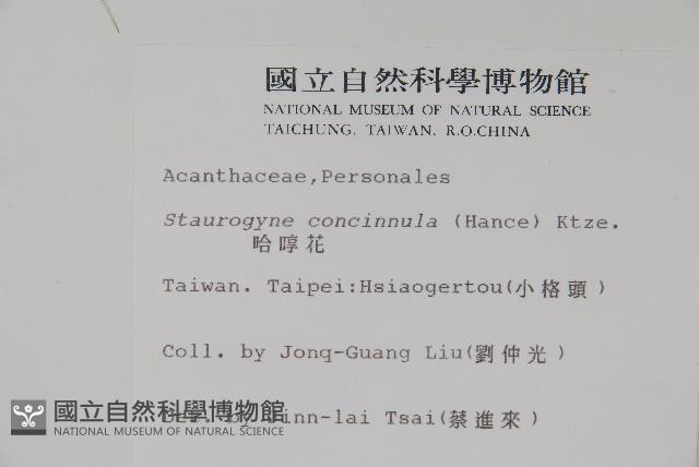 哈哼花藏品圖，第2張