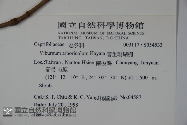 著生珊瑚樹藏品圖，第2張