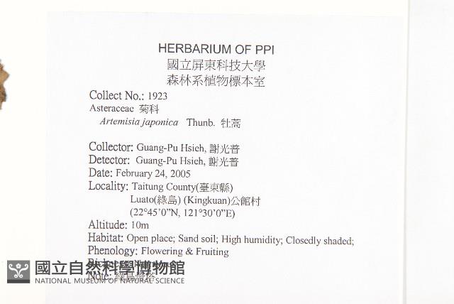 牡蒿藏品圖，第2張