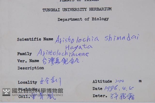 臺灣馬兜鈴、痢藥草藏品圖，第2張
