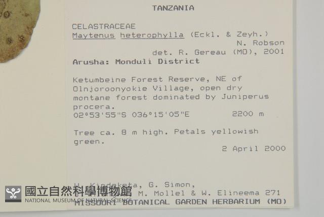 登錄號:S097533藏品圖，第2張