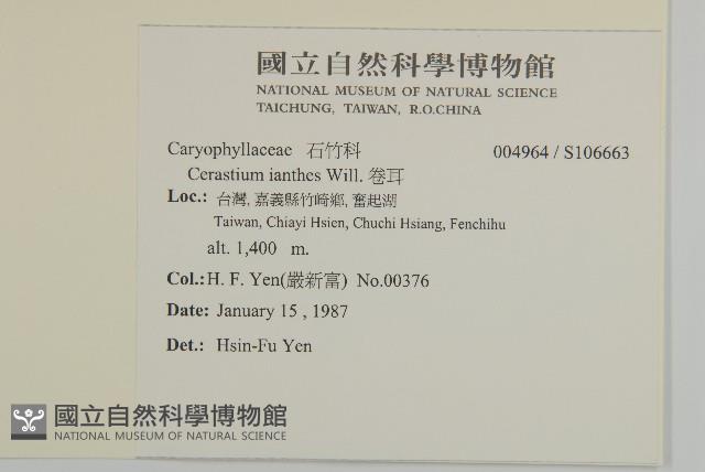 卷耳藏品圖，第2張