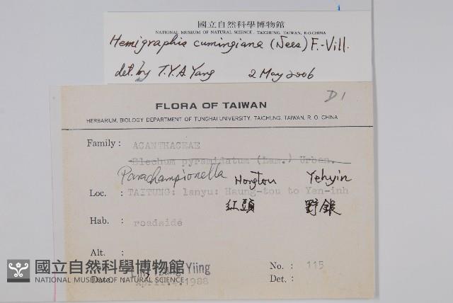 直立半插花藏品圖，第2張