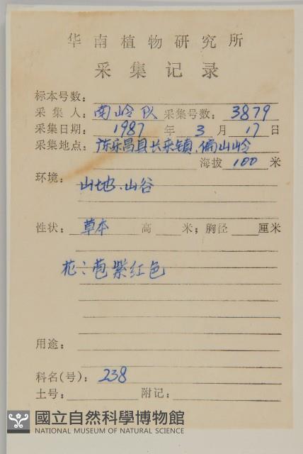 小薊藏品圖，第2張