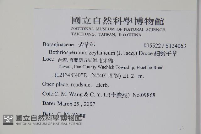 細纍子草藏品圖，第2張