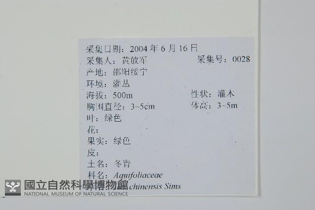 冬青藏品圖，第2張