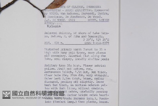 登錄號:S047063藏品圖，第2張