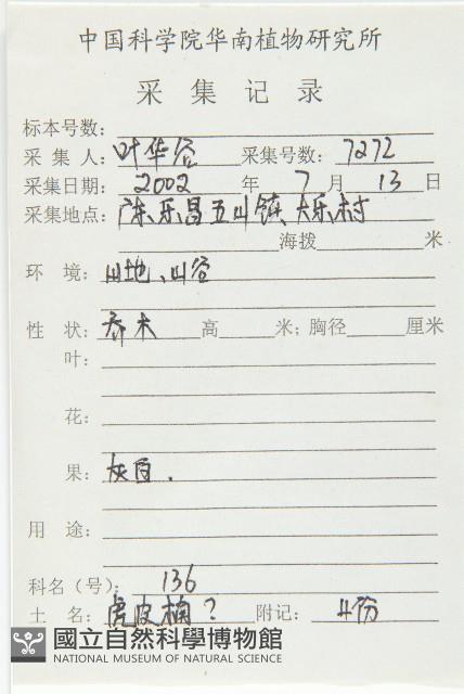 俄氏虎皮楠、蘭嶼虎皮楠、虎皮楠藏品圖，第2張