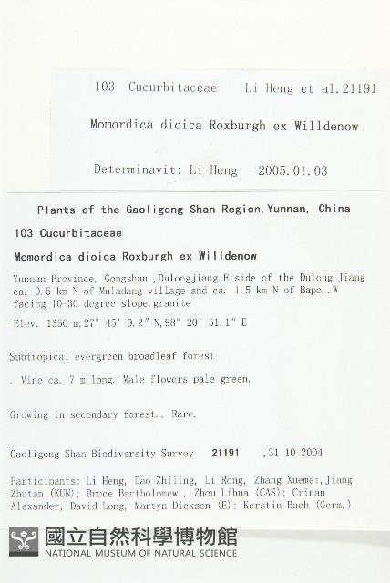 雲南木鱉藏品圖，第2張