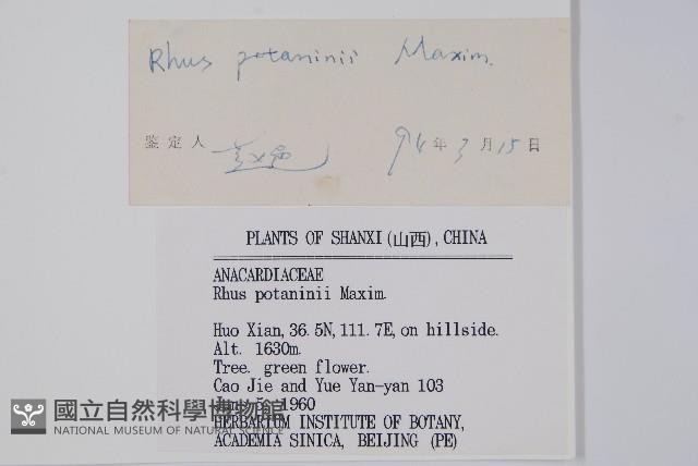 Accession Number:S035763 Collection Image, Figure 2, Total 2 Figures