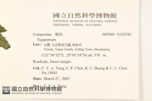 登錄號:S124763藏品圖，第2張