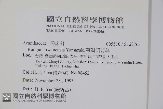 臺灣明萼草藏品圖，第2張