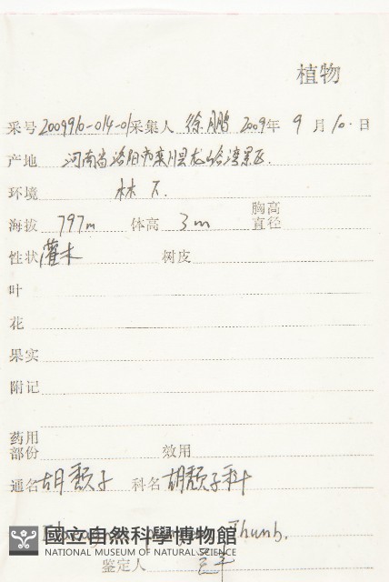 胡頹子藏品圖，第2張