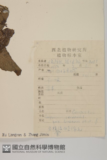 登錄號:S087763藏品圖，第2張