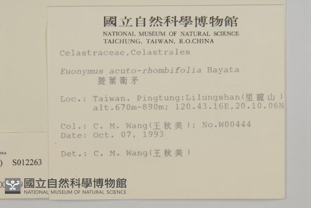 菱葉衛矛藏品圖，第2張