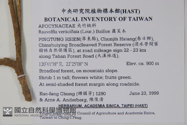 蘿芙木藏品圖，第2張