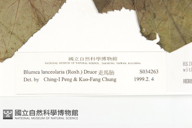 走馬胎藏品圖，第2張