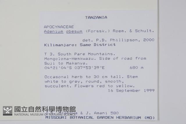 沙漠玫瑰藏品圖，第2張