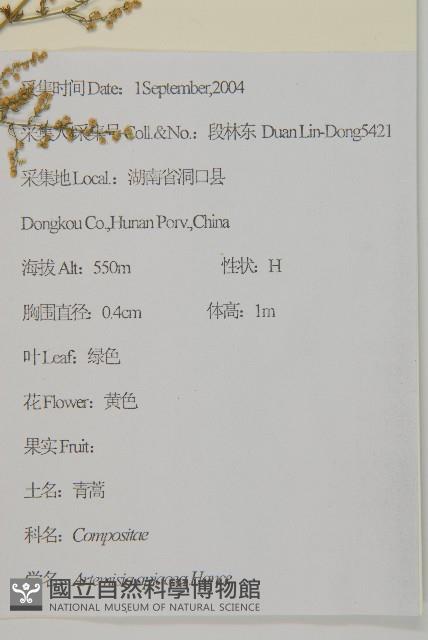 青蒿藏品圖，第2張