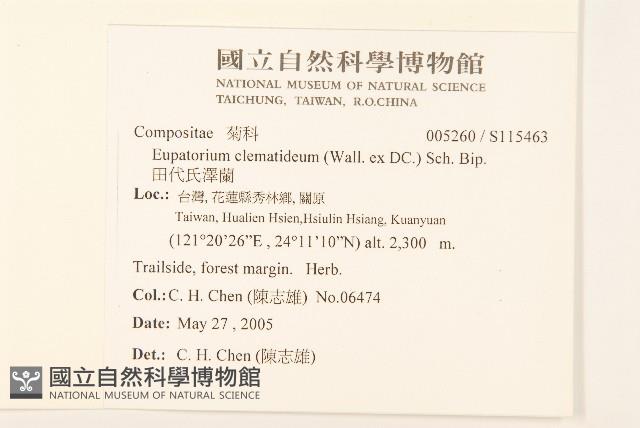 田代氏澤蘭藏品圖，第2張