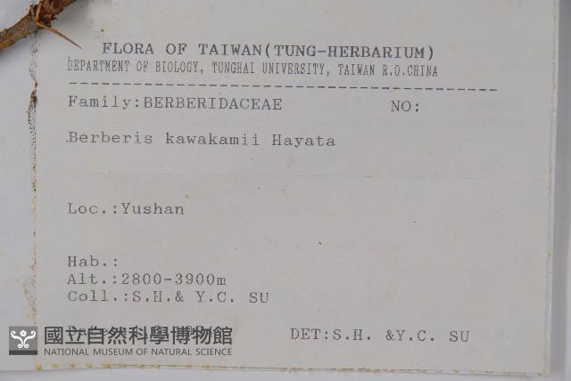 臺灣小蘗藏品圖，第2張