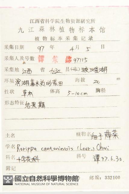 廣東葶藶藏品圖，第2張