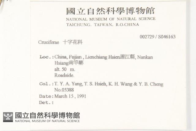 登錄號:S046163藏品圖，第2張