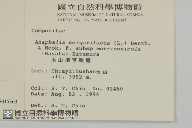 玉山抱莖籟簫藏品圖，第2張