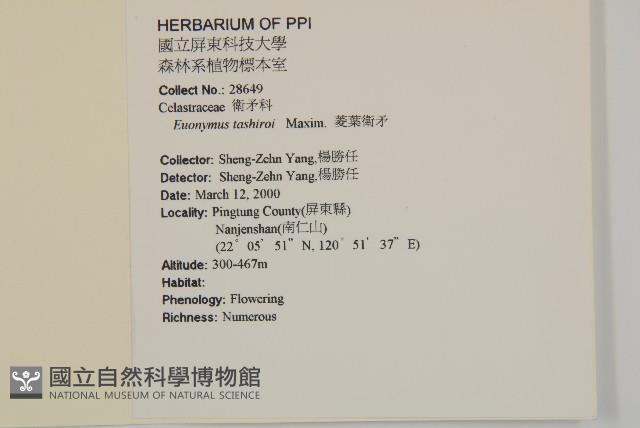 菱葉衛矛藏品圖，第2張