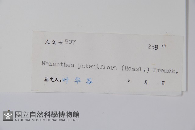 野靛棵藏品圖，第2張