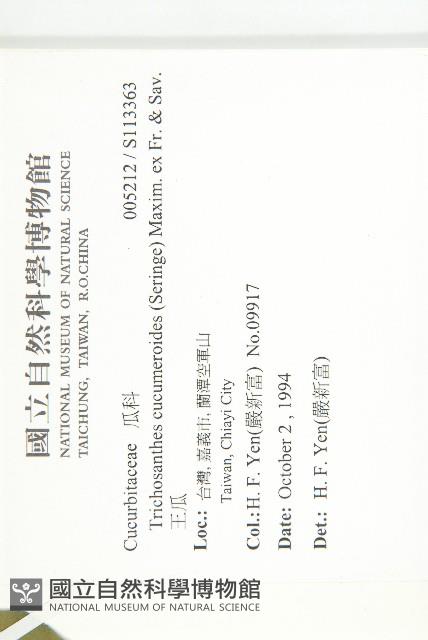 王瓜藏品圖，第2張