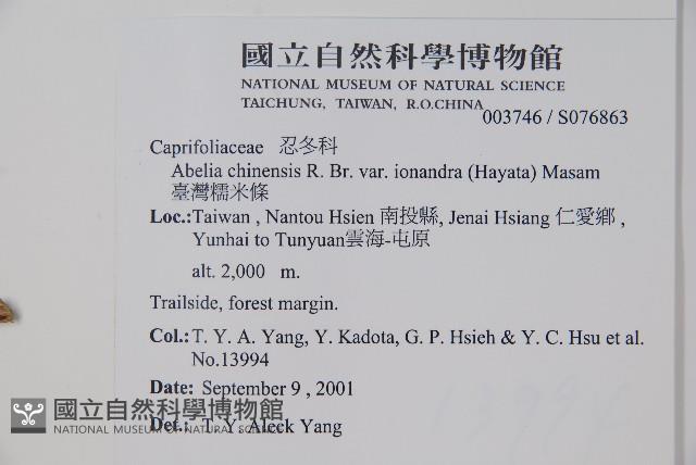 臺灣糯米條藏品圖，第2張