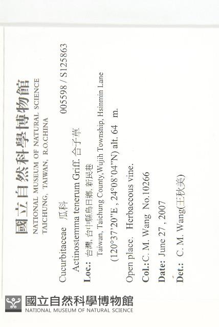 合子草藏品圖，第2張