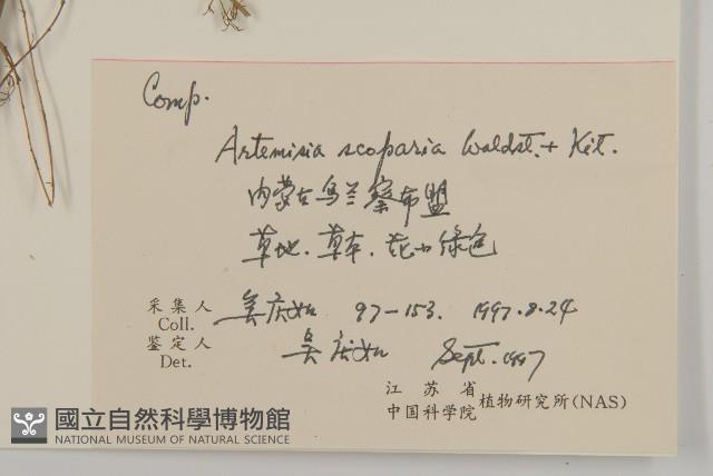 黃蒿藏品圖，第2張