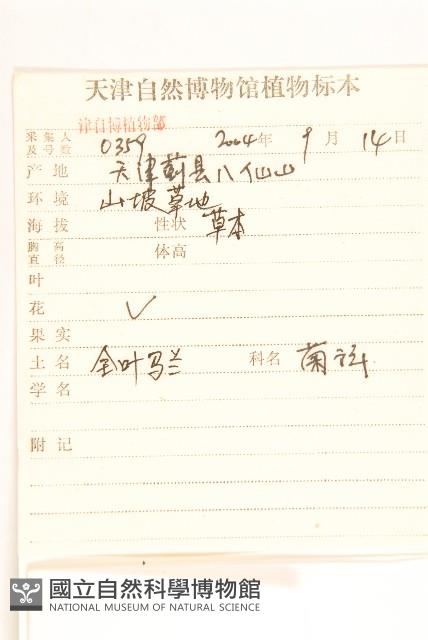 全葉馬蘭藏品圖，第2張