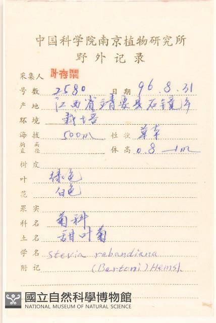 甜葉菊藏品圖，第2張