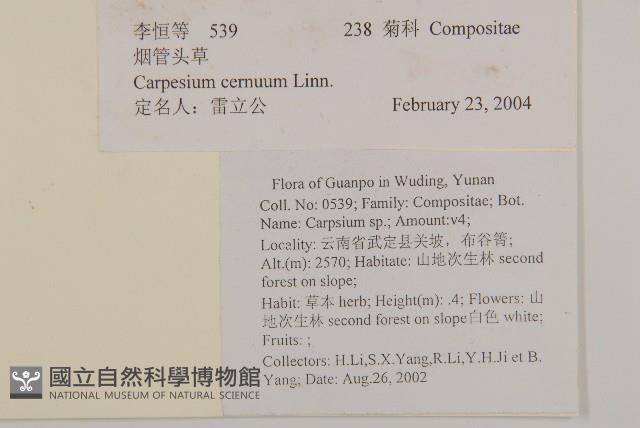 杓兒菜藏品圖，第2張