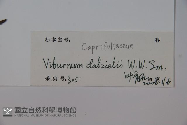 登錄號:S126963藏品圖，第2張