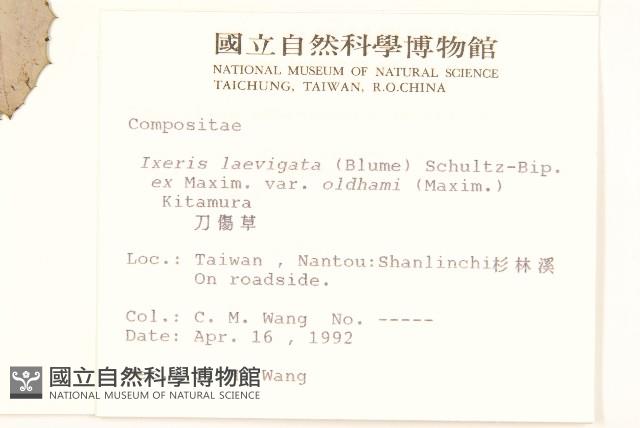 刀傷草藏品圖，第2張