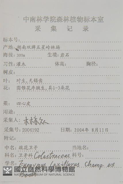 大丁黃藏品圖，第2張