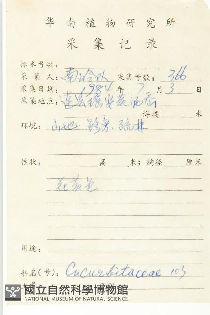 大苞赤瓟藏品圖，第2張