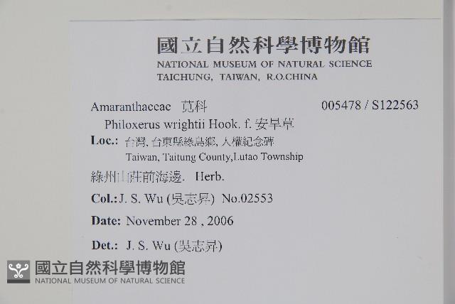 安旱草藏品圖，第2張