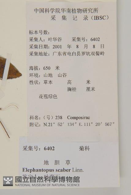 燈豎朽藏品圖，第2張