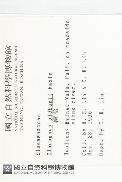 宜梧藏品圖，第2張