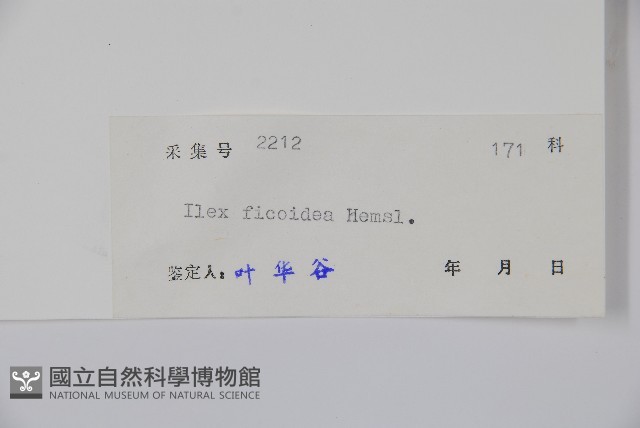 臺灣糊樗藏品圖，第2張