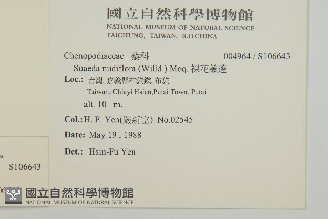 裸花鹼蓬藏品圖，第2張