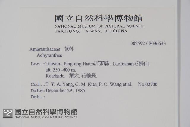 登錄號:S036643藏品圖，第2張