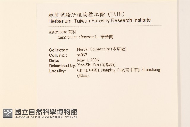 華澤蘭藏品圖，第2張