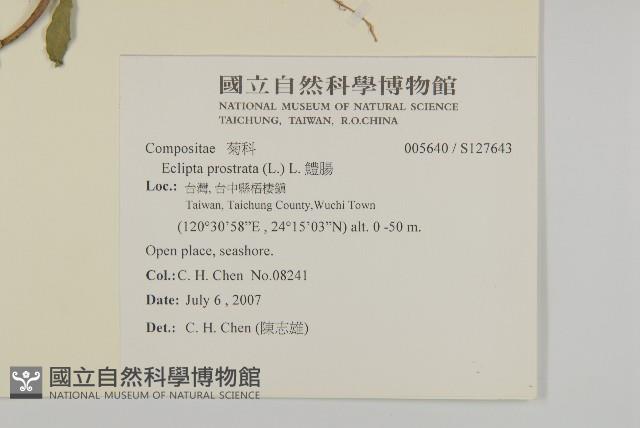 鱧腸藏品圖，第2張