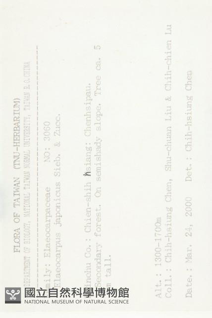 薯豆藏品圖，第2張